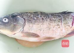 红烧黄河大鲤鱼的做法图解3