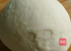 花式豆沙包的做法图解3