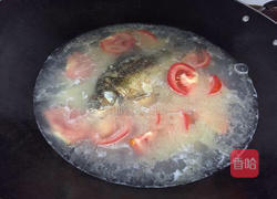 土豆番茄鲫鱼汤的做法图解8