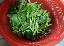 蒜泥空心菜的做法图解3