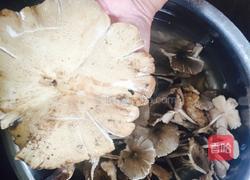 煮鸡纵菌的做法图解1