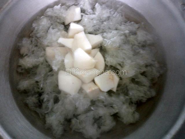银耳去蒂，撕成小朵，银耳 雪梨一起放入锅中，加适量清水大火煮开，小火慢炖一个小时