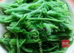 拌南瓜尖的做法图解5