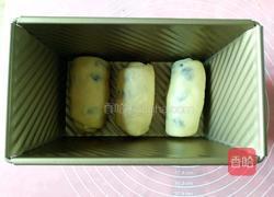 蔓越莓牛奶吐司的做法图解11