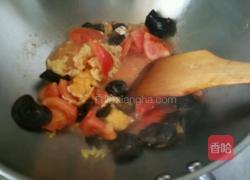西红柿木耳炒蛋的做法图解4