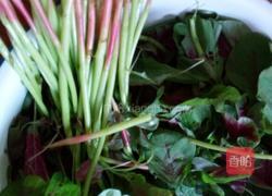 清炒红苋菜的做法图解1