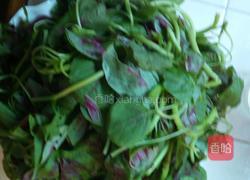 清炒红苋菜的做法图解3