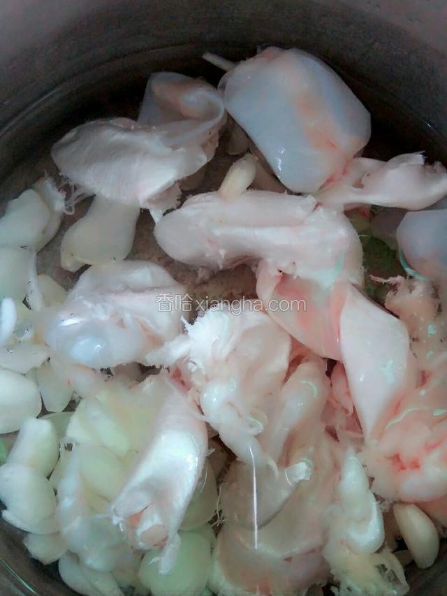 将洗好的鱼鳔放入高压锅内，下百合瓣，下足量的水，盖上高压锅盖，大火煲至上汽，听到嘁嘁嘁的声响，转中小火煲25～30分钟，关火。