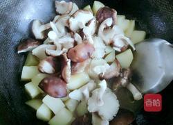 土豆香菇烧肉的做法图解8
