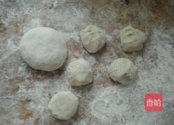 茴香肉馅盒子的做法图解5