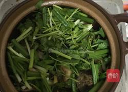 砂锅鸡煲的做法图解4