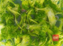 耗油西兰花的做法图解3