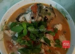 番茄鮰鱼汤的做法图解7