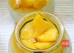 芒果布丁的做法图解3