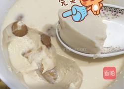 牛奶炖花胶的做法图解7