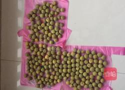 青梅煮酒的做法图解4