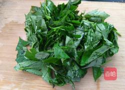 青红椒炒番薯叶的做法图解2