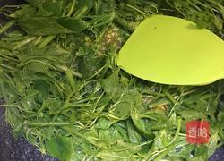 蒜香龙须菜的做法图解5