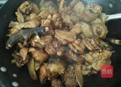 蘑菇炖柴鸡的做法图解3