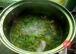 夜来香排骨汤的做法图解8