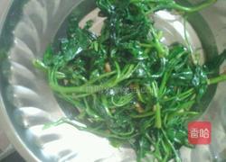 炒空心菜的做法图解5