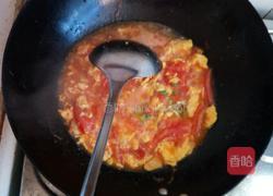 西红柿打卤面的做法图解9