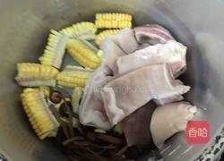 猪肚玉米茶树菇汤的做法图解8