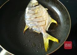 香煎金鲳鱼的做法图解4