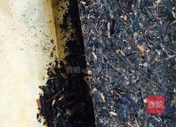 正宗内蒙古奶茶的做法图解2