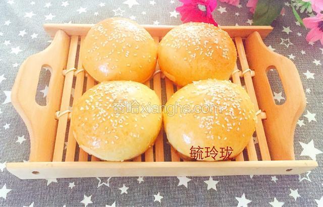 汉堡胚