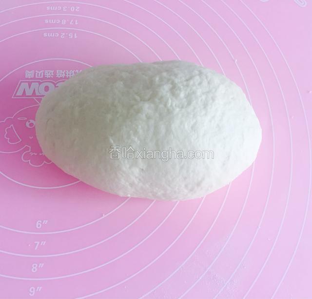发好的面倒出，放到垫子上多揉至光滑，让其充分排气