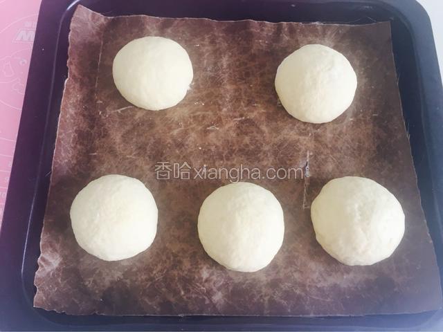 然后分成5个大小均匀的小剂子，揉成圆形，放在事先铺好油布的烤盘里