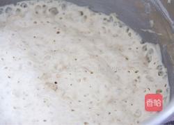 史多伦stollen的做法图解4