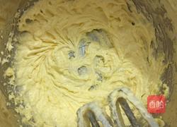 双色曲奇的做法图解4