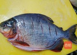 香煎红鲳鱼的做法图解1