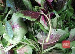 油水紫苋菜的做法图解1