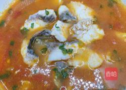 番茄草鱼的做法图解11