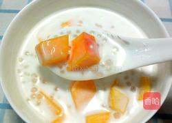 椰浆黄桃西米露的做法图解10