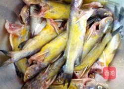 酸汤黄骨鱼的做法图解1