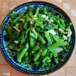 龙须菜