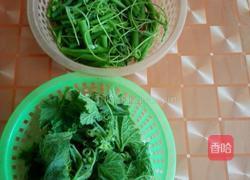 龙须菜的做法图解1