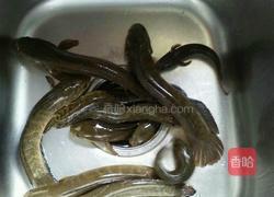 薏米煮鱼汤的做法图解1