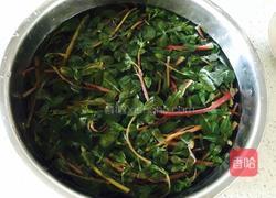 凉拌马齿苋的做法图解2