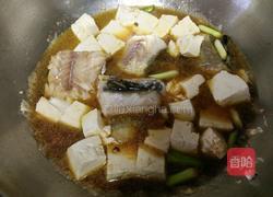 鳕鱼炖豆腐的做法图解7