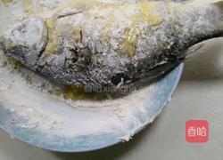 番茄炖鲫鱼的做法图解2