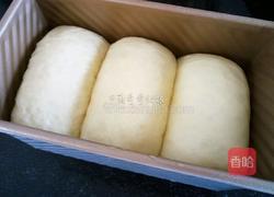 蛋黄土司(冷藏中种法)的做法图解15