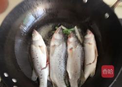 红烧小鲈鱼的做法图解4