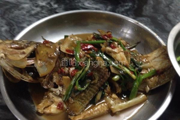 红烧罗非鱼
