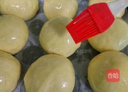 南瓜小餐包(汤种法)的做法图解6