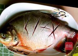 红烧鳊鱼的做法图解1